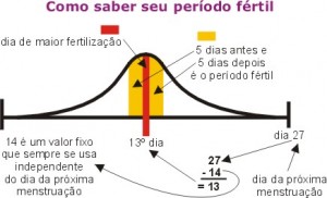 O período fértil é antes ou depois da menstruação? - DicasFree.com