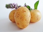 As batatas germinadas afetam a saúde e o funcionamento do corpo.