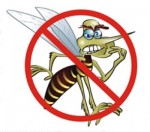 O mosquito transmissor da dengue é capaz de levar a morte.