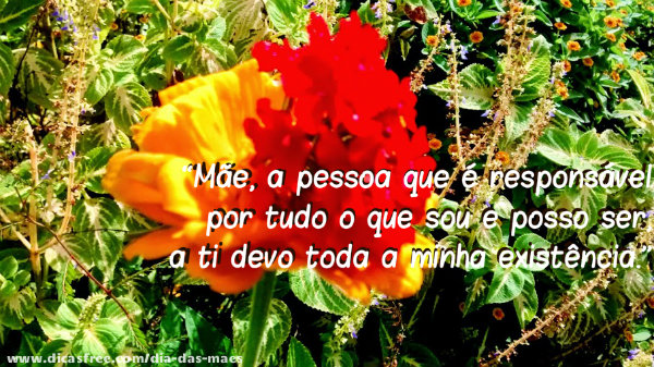 Você é linda.