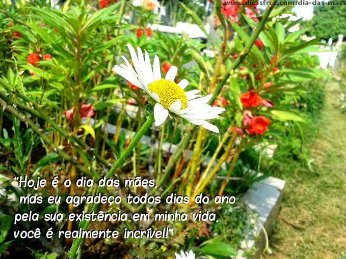 A mais importante.