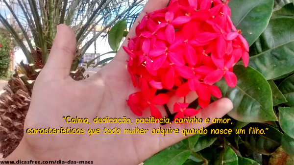 Feliz.