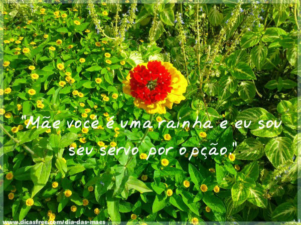 Quem me deu a vida e me amou primeiro.