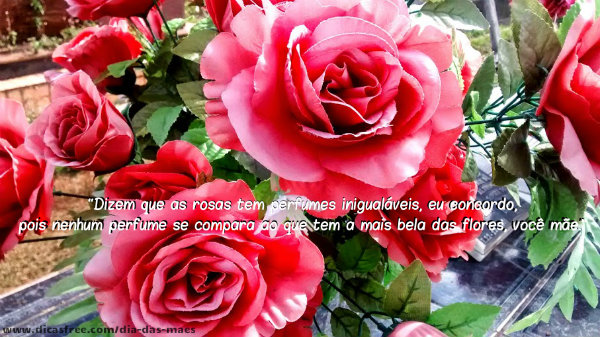 Te amo.