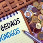 Como sabemos se uma ação paga dividendos?