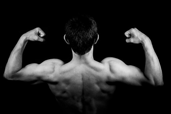 Alimentos que estimulam o aumento da massa magra