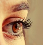 Os olhos humanos são nossa direção.