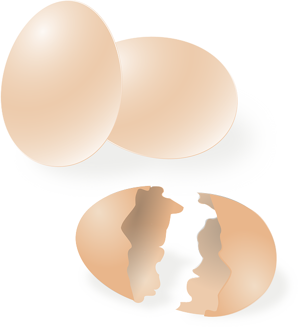 ovos