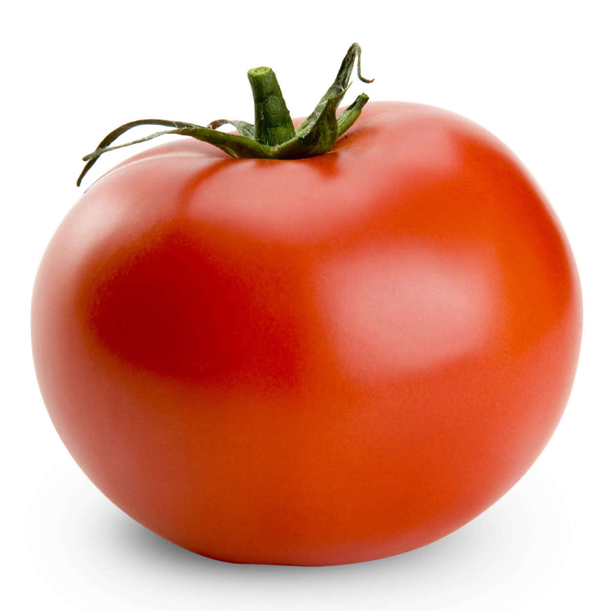 O tomate é fruta ou fruto?
