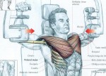 Treino hipertrofia peito