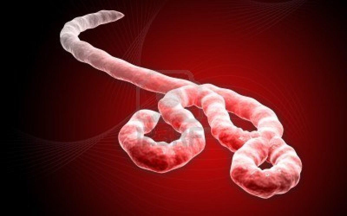 Formas de contágio do ebola